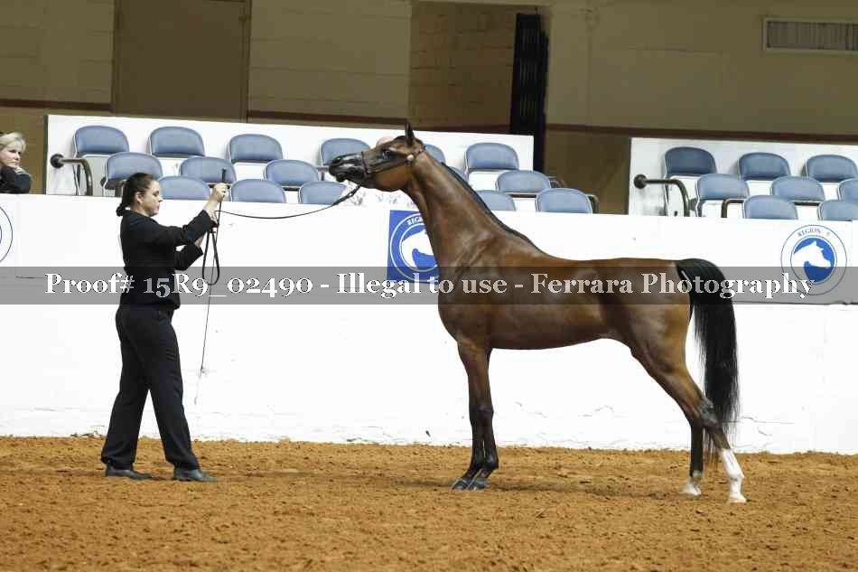 Proof 15R9_02490