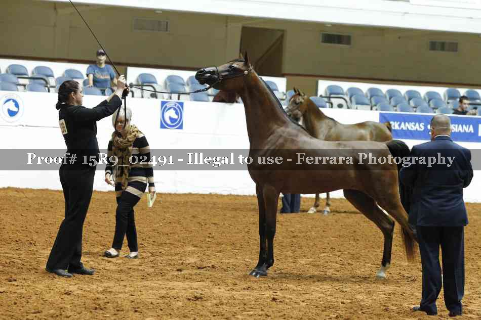 Proof 15R9_02491