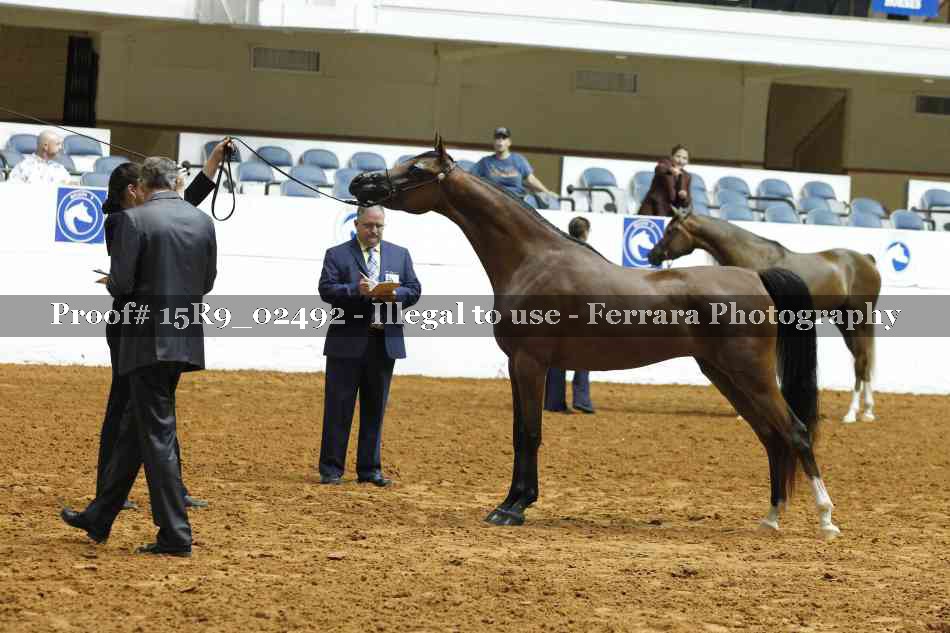 Proof 15R9_02492