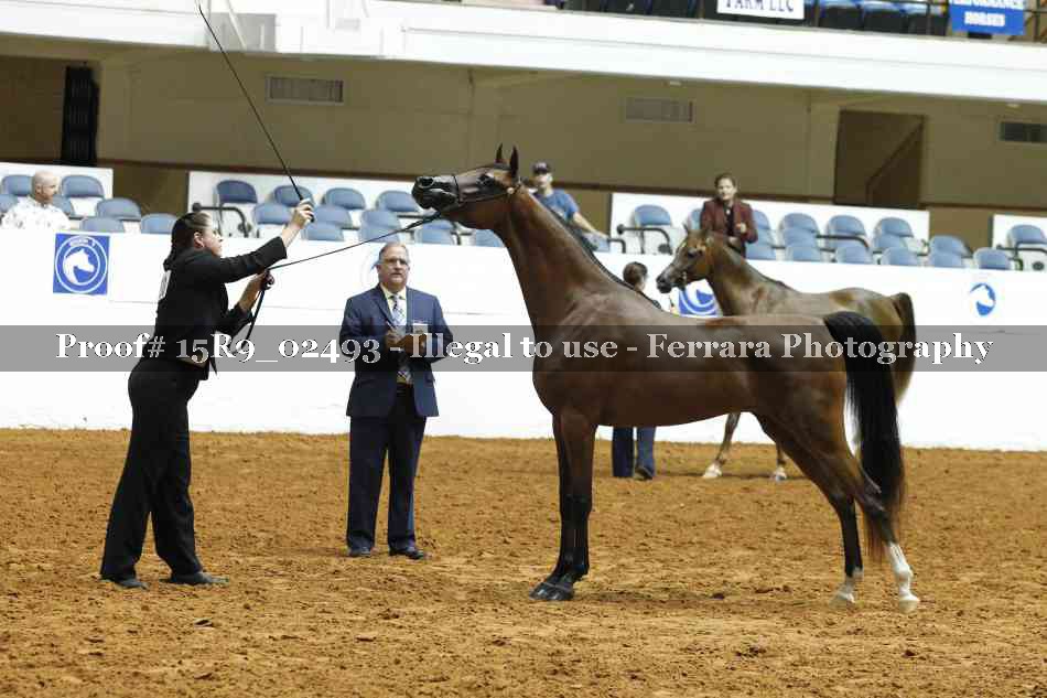 Proof 15R9_02493