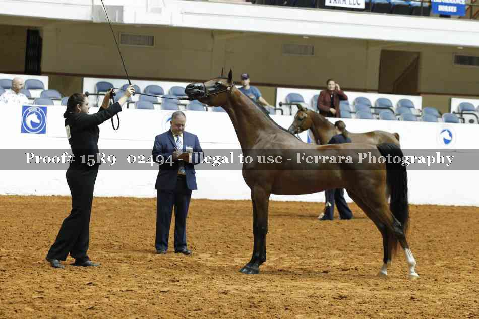 Proof 15R9_02494