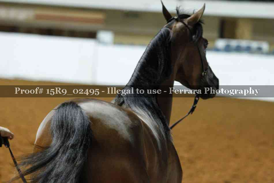 Proof 15R9_02495