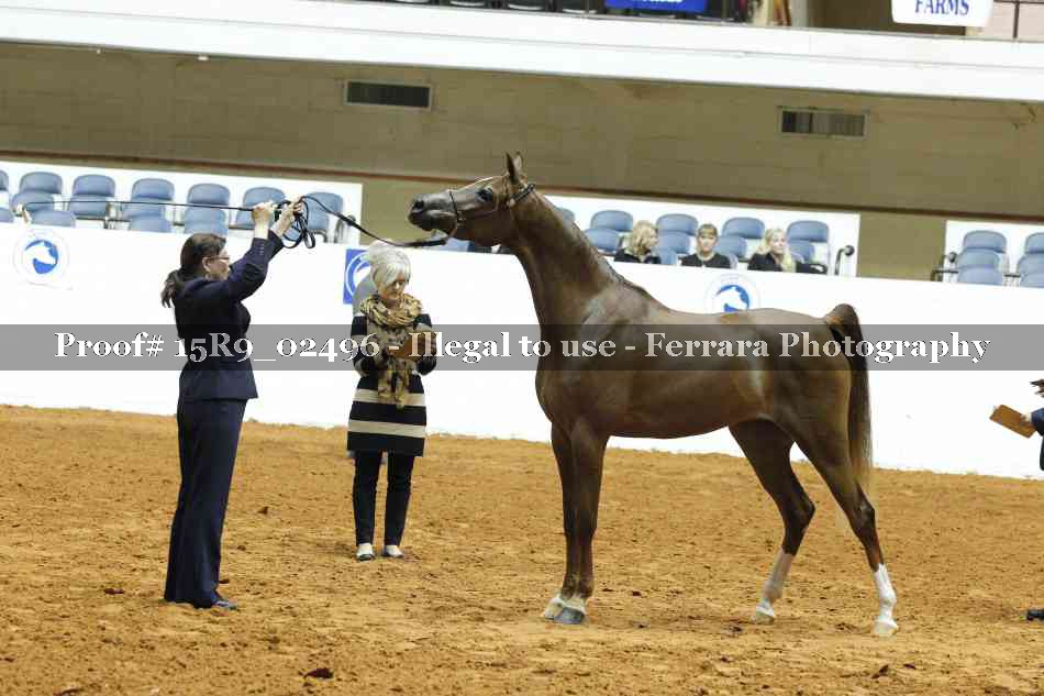 Proof 15R9_02496
