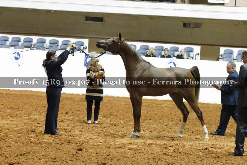 Proof 15R9_02497