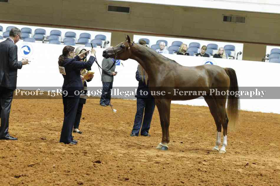Proof 15R9_02498