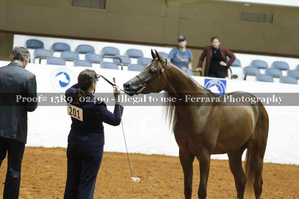 Proof 15R9_02499
