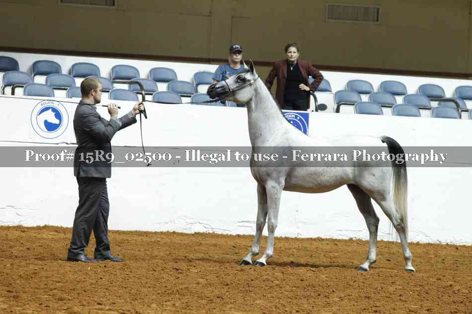 Proof 15R9_02500