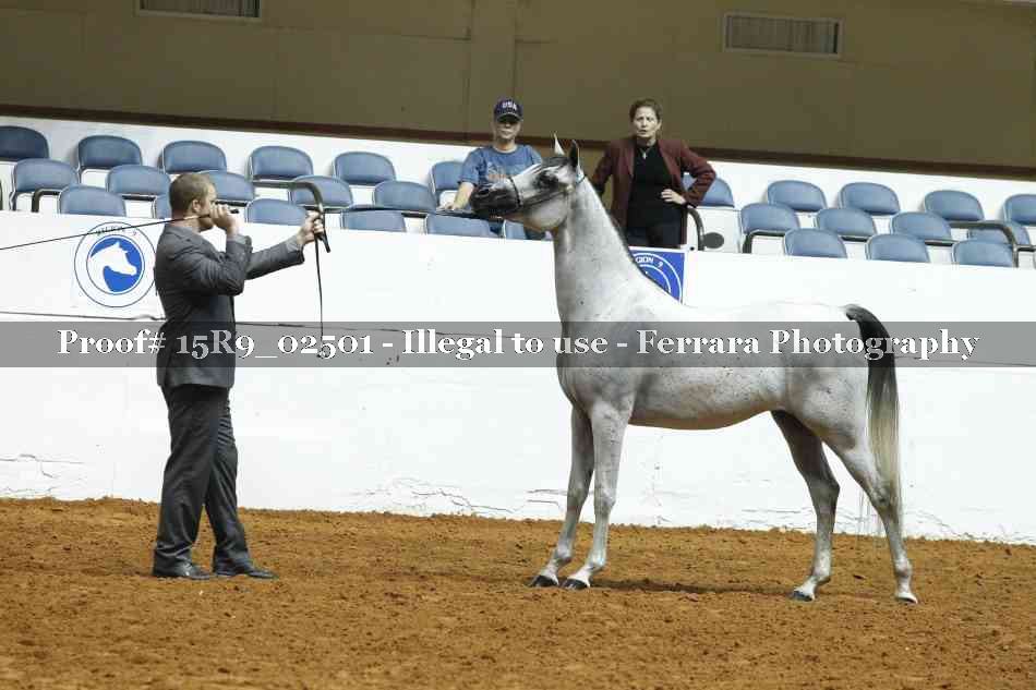 Proof 15R9_02501