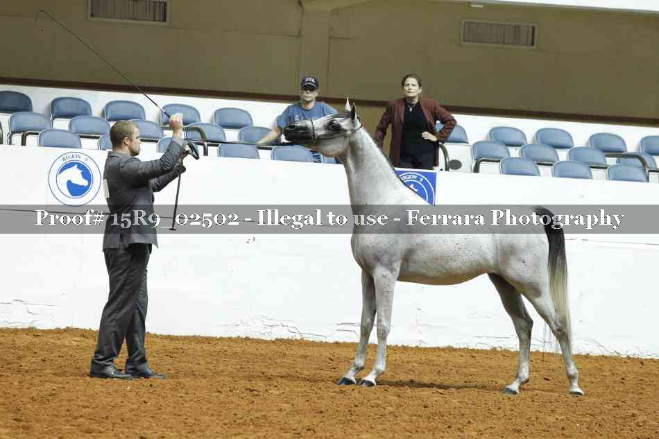 Proof 15R9_02502