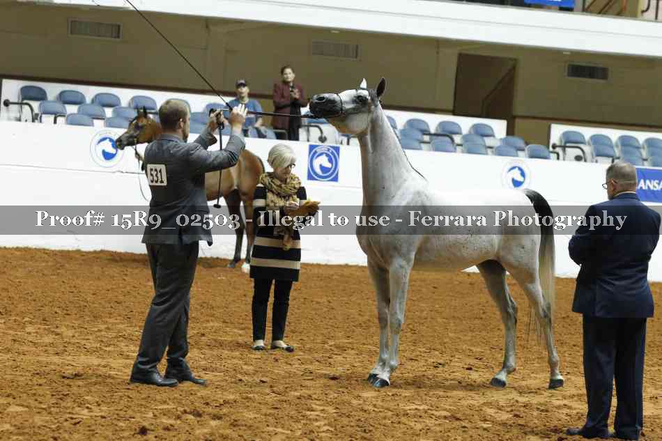 Proof 15R9_02503