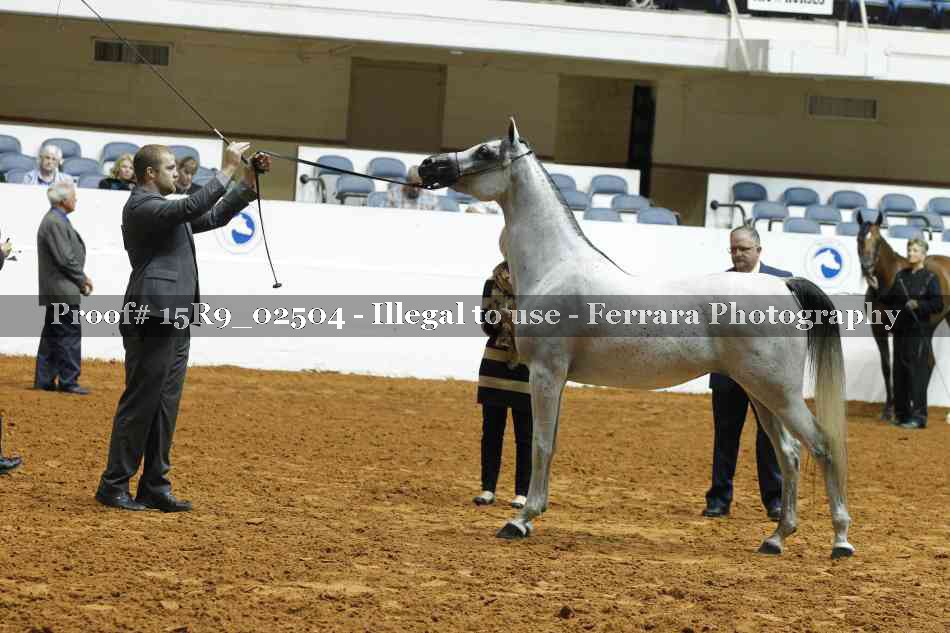 Proof 15R9_02504