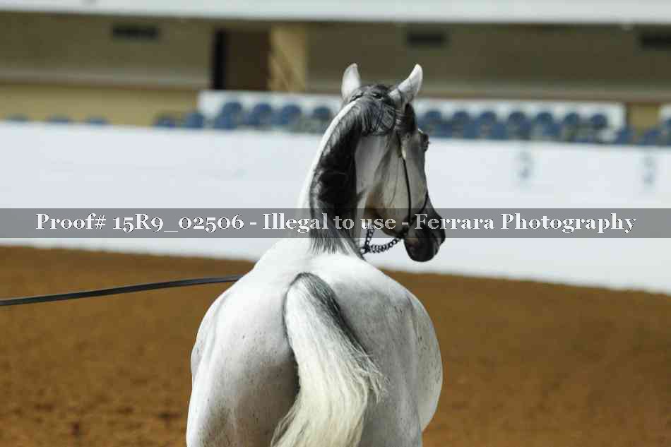 Proof 15R9_02506