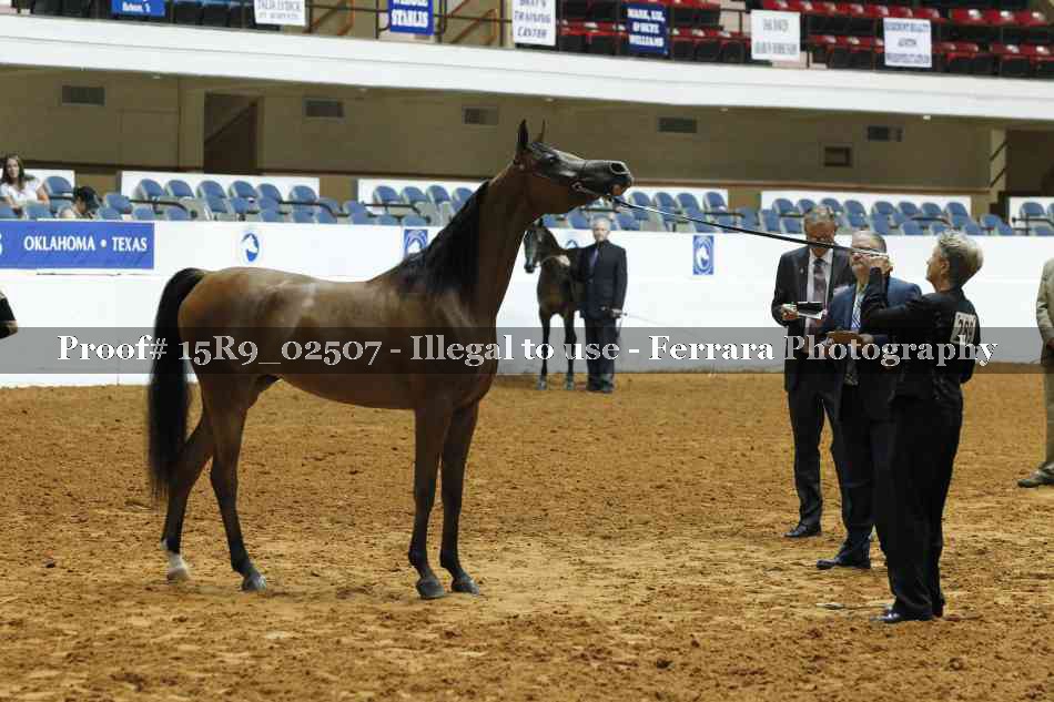 Proof 15R9_02507