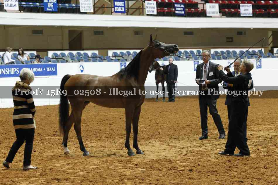 Proof 15R9_02508