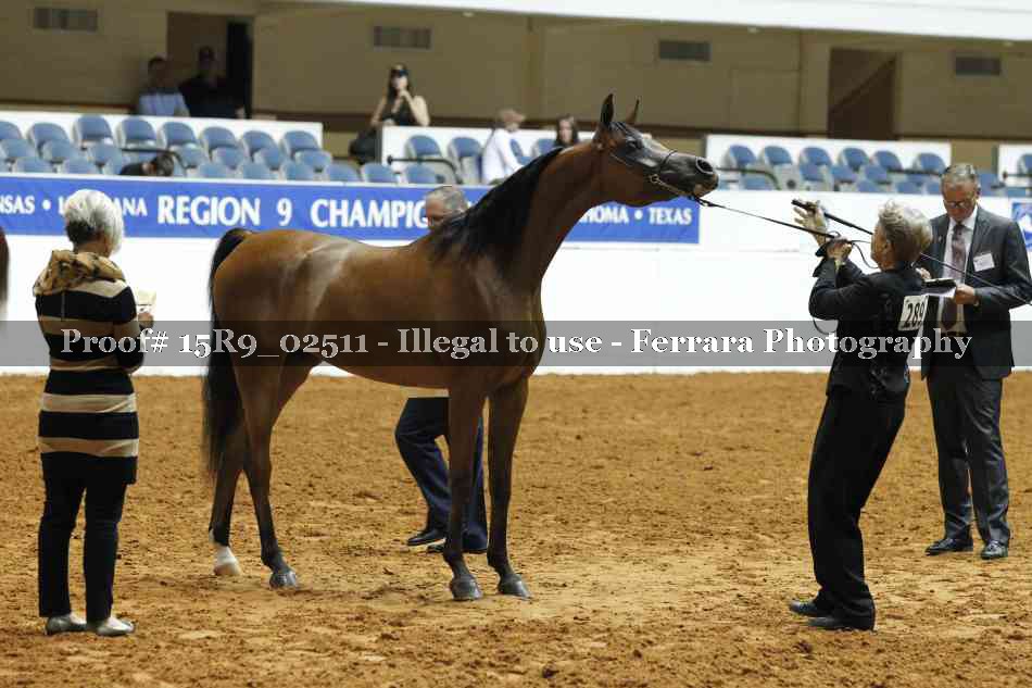 Proof 15R9_02511
