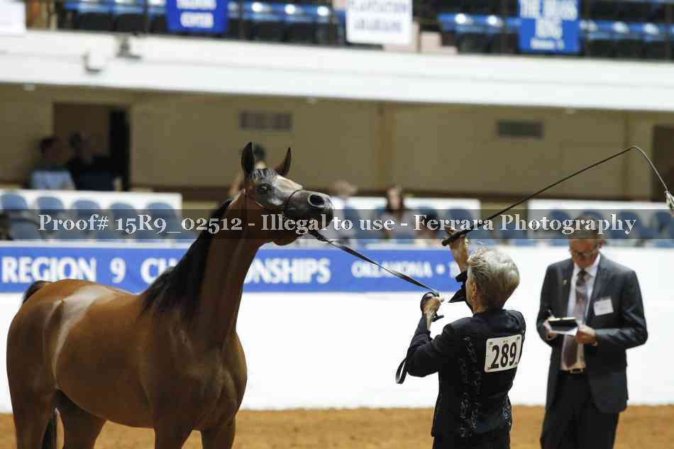 Proof 15R9_02512