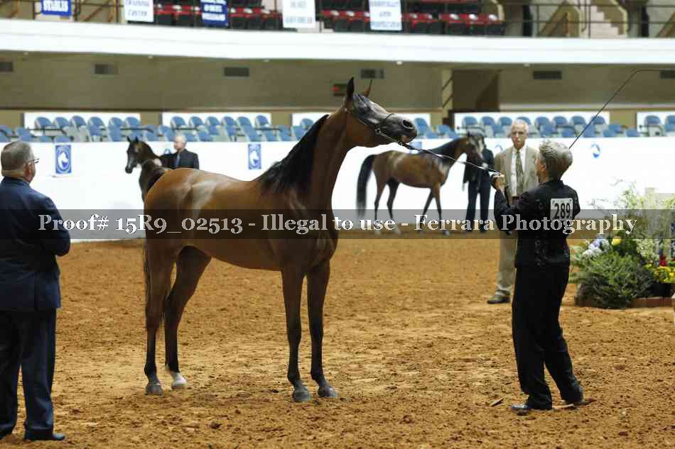 Proof 15R9_02513