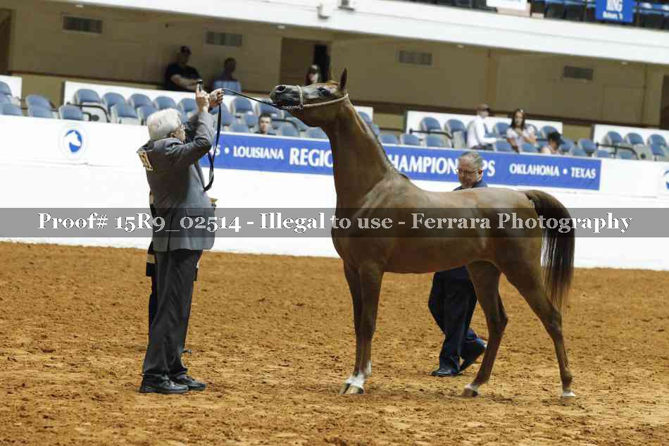 Proof 15R9_02514