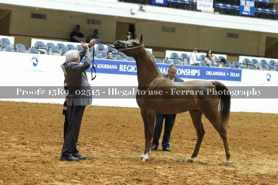 Proof 15R9_02515