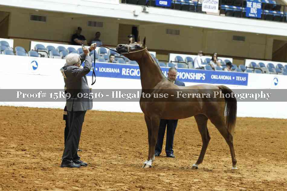 Proof 15R9_02516