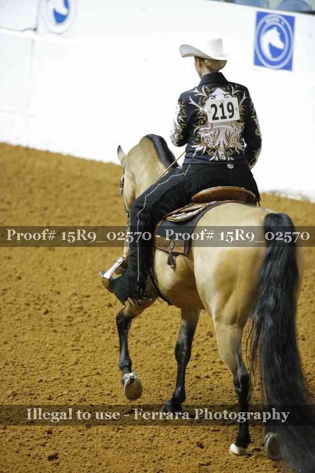 Proof 15R9_02570