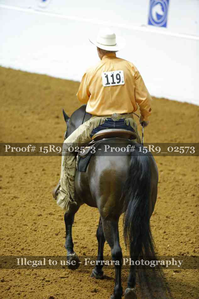 Proof 15R9_02573