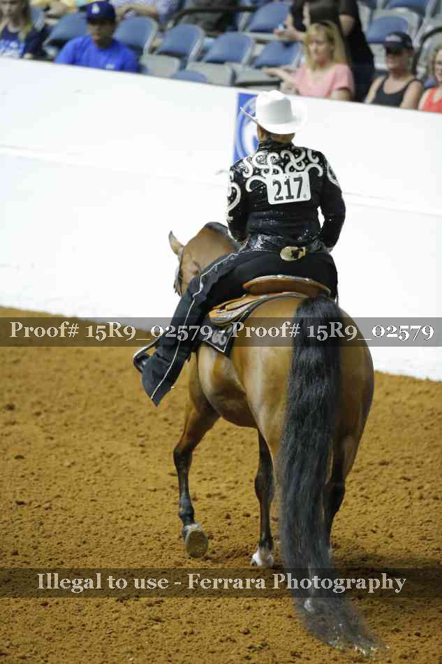 Proof 15R9_02579