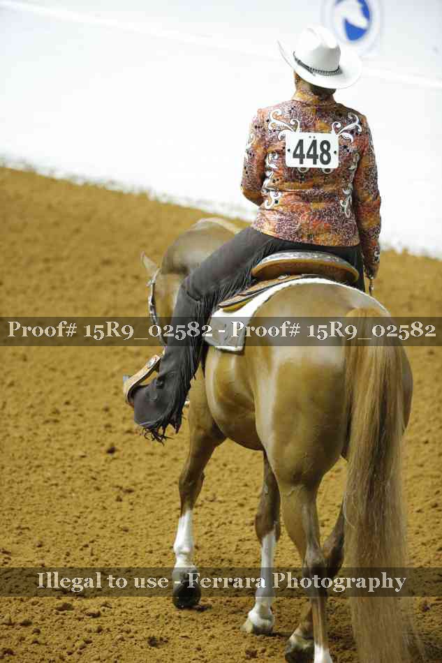 Proof 15R9_02582