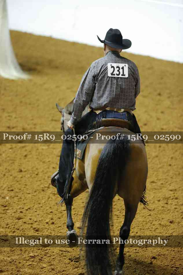 Proof 15R9_02590