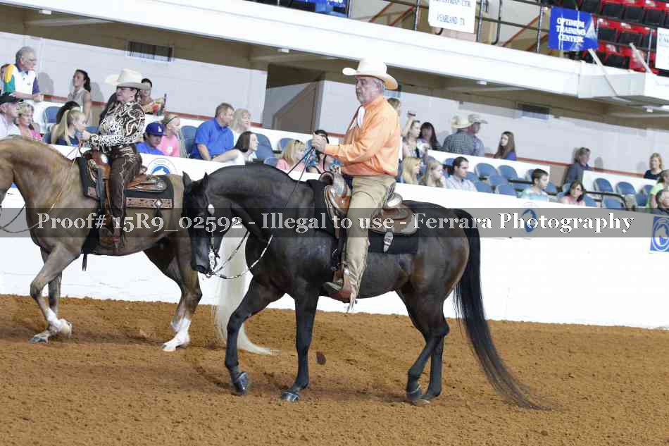 Proof 15R9_02592