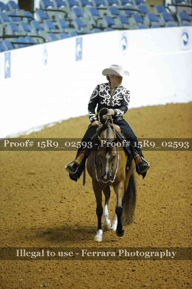 Proof 15R9_02593