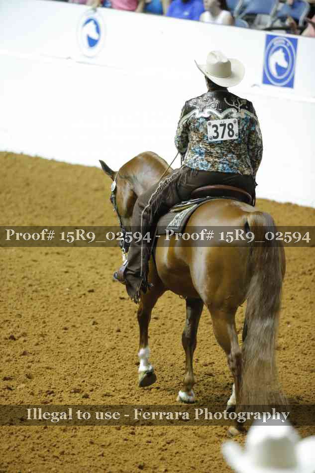 Proof 15R9_02594