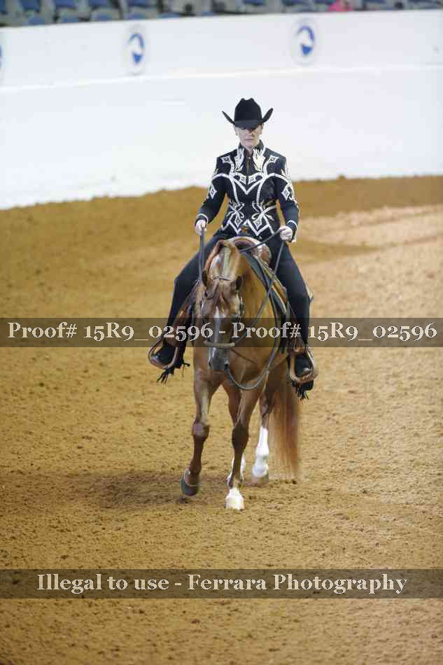 Proof 15R9_02596