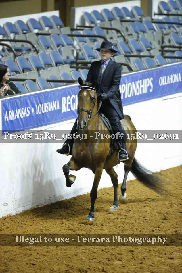 Proof 15R9_02691