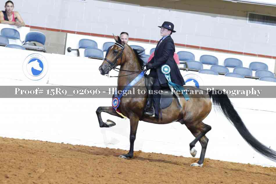 Proof 15R9_02696
