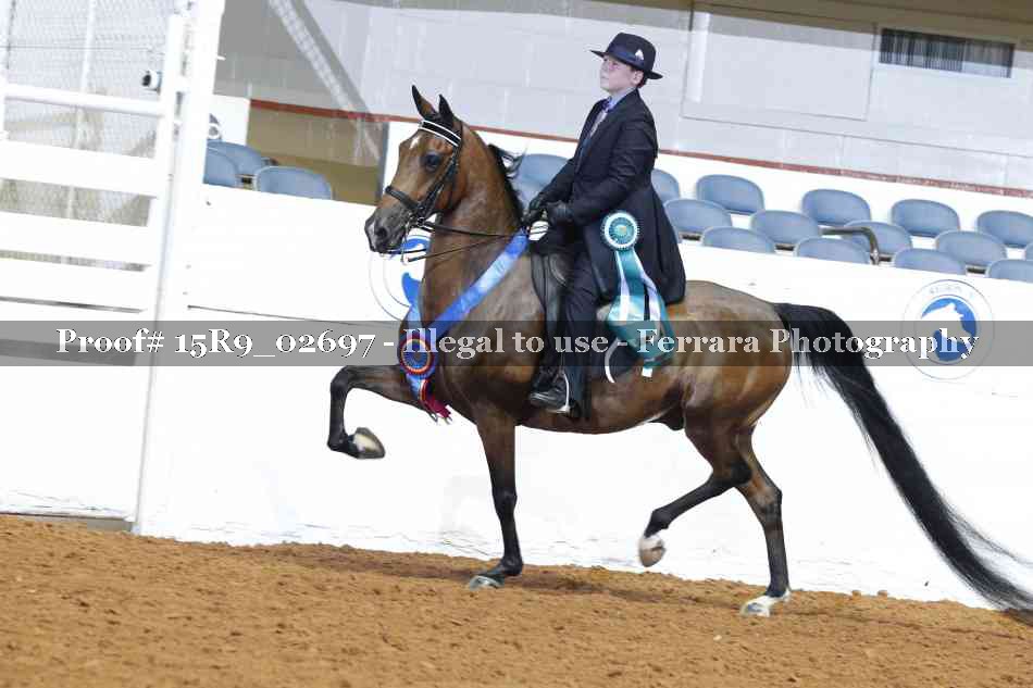 Proof 15R9_02697