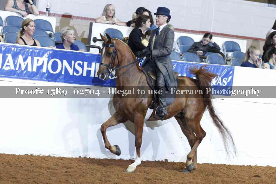 Proof 15R9_02704
