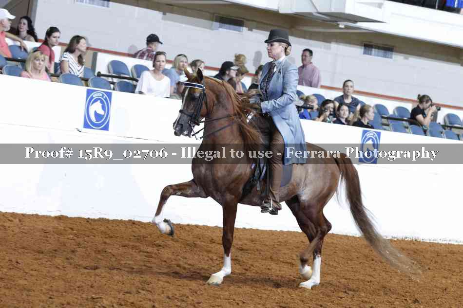 Proof 15R9_02706