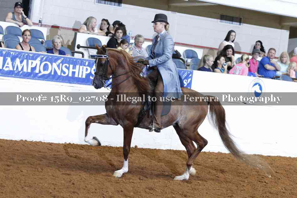 Proof 15R9_02708