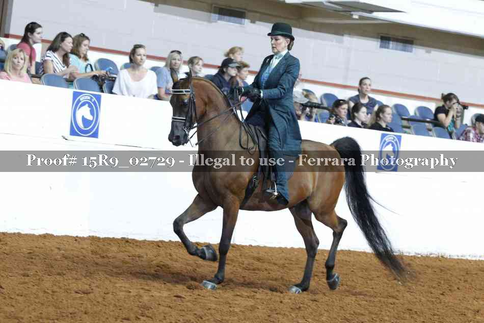 Proof 15R9_02729