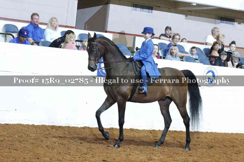 Proof 15R9_02785