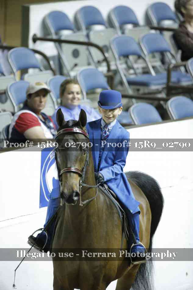 Proof 15R9_02790