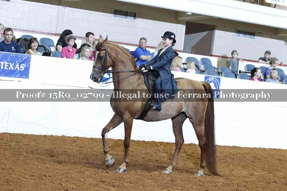 Proof 15R9_02799