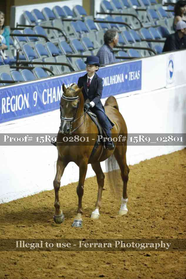 Proof 15R9_02801