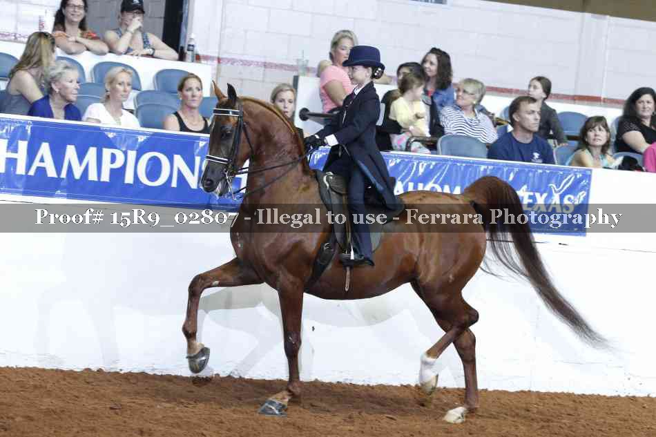 Proof 15R9_02807