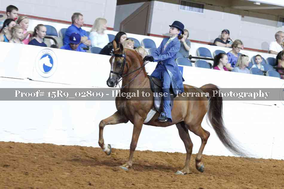 Proof 15R9_02809