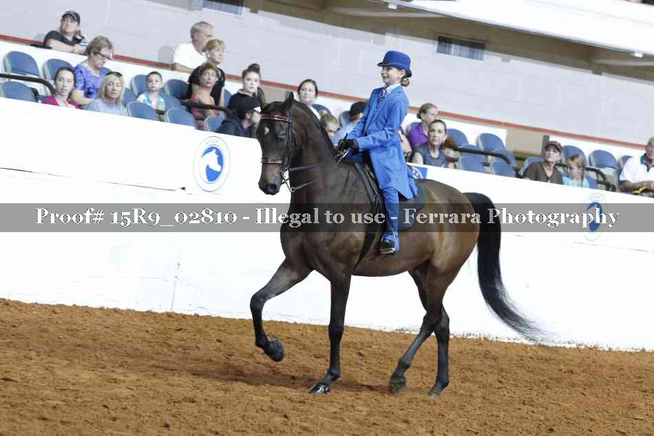 Proof 15R9_02810