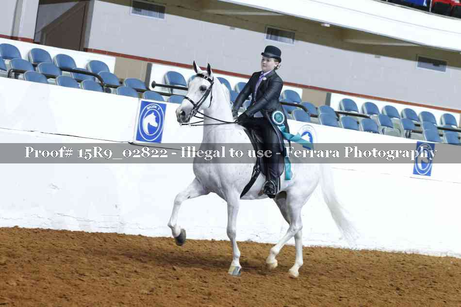 Proof 15R9_02822