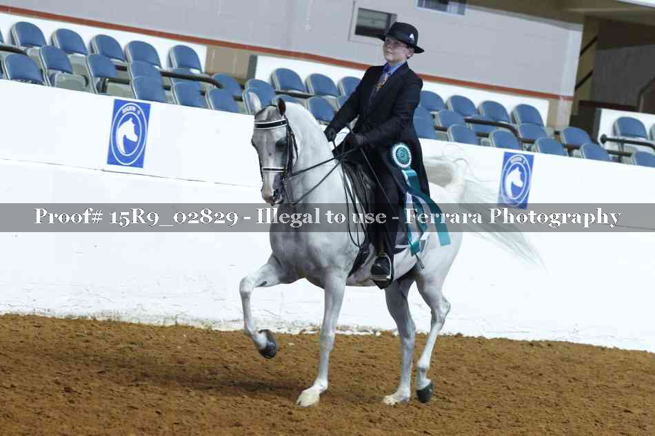 Proof 15R9_02829