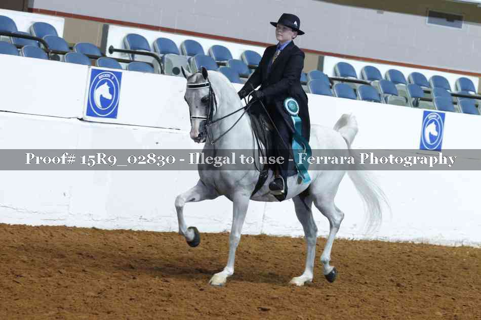 Proof 15R9_02830
